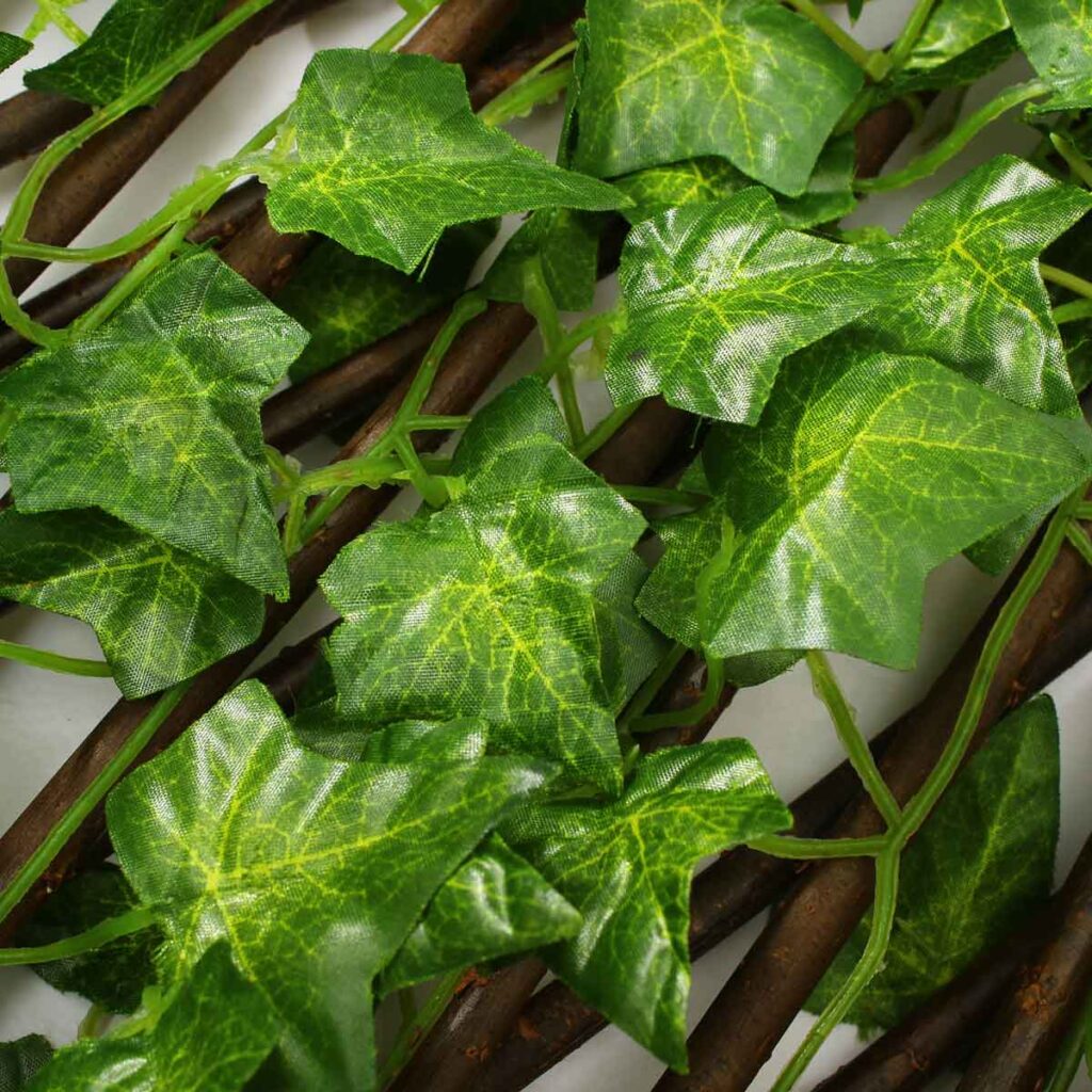 d7b89fcd-7c69-42f4-a213-89d6ac12d5d7_1.c9f8ba1fbdf404d320a18facc417a01d